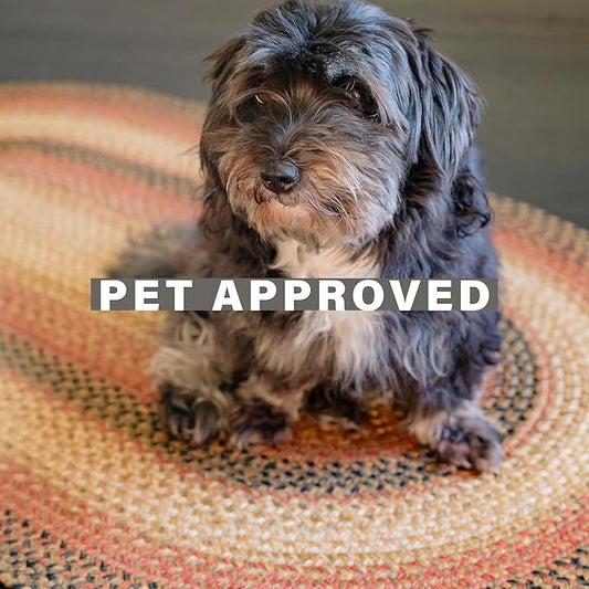 Russet Multi Color Oval Braided Rug, 6x9' - Handmade with Jute, Warm Country Decor, Perfect for Living Rooms and Dining Rooms - Pet Friendly and Easy to Clean