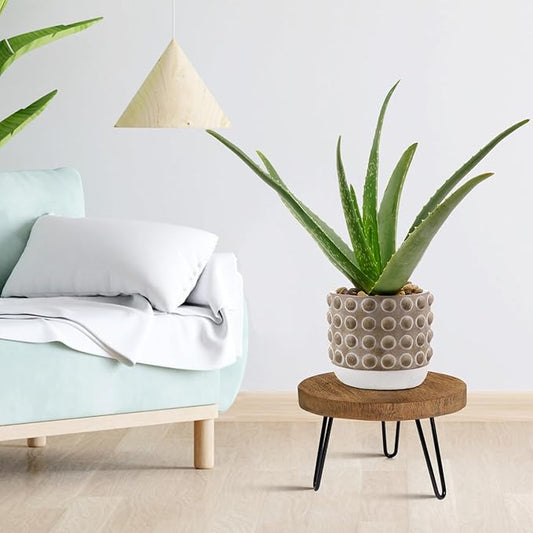 Plant Stand Indoor Outdoor, Wooden plant Stool, Mid Century Plant Stand for Indoor Plants, Wood Modern Plant Holder Rattan Flower, Low Short Boho Rustic Planter Stand Fit 5-15 Inch Pot(M)