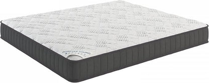 Ottomanson Queen 9" Hybrid Mattress - Medium-Firm Support - Made in USA - Individually Pocketed Coils & CertiPUR-US Foam - Fiberglass-Free - Bed in a Box