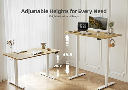 Seang Standing Desk with Adjustable Height, 63x24 Inch Electric Stand Up Desk for Home Office, Studio, Computer Workstation, Nature Top