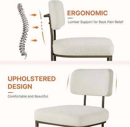 Dining Chairs Set of 2, Upholstered Modern Kitchen Chairs with Ergonomic Backrest, Fabric Cushion Seat & Metal Legs for Living Room, Restaurant, and Café, Ivory