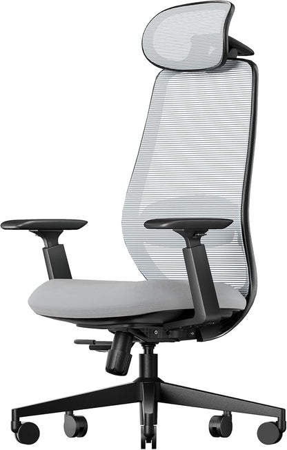 ProtoArc Ergonomic Office Chair – EC200 High-Back Mesh Computer Chair with Lumbar Support, 3D Adjustable Headrest & Sliding Seat for 8+ Hour Comfort, Big & Tall Home Office Desk Chairs - Gray