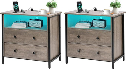 27 Inch Wide Night Stand, Lrage Wood Night Stand Set 2 with 2 Drawers, LED Nightstand with Charging Station and Adjustable Drawer, Bedside Table for Living Room/Bedroom/Study/Office, Gray.