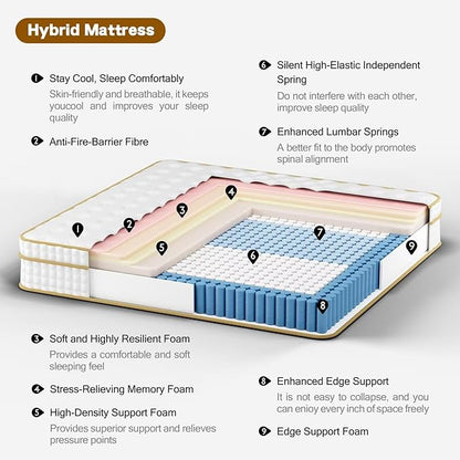 Queen Mattress,14 Inch Queen Size Mattresses in a Box,Medium Firm Queen Hybrid Mattress,with Memory Foam and Individual Pocket Spring for Motion Isolation & Silent Sleep&& Pressure Relief，80" x 60"