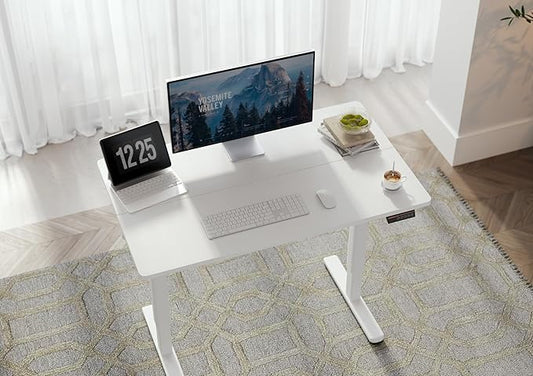 Seang Standing Desk with Adjustable Height, 48x24 Inch Electric Stand Up Desk for Home Office, Studio, Computer Workstation, White Top
