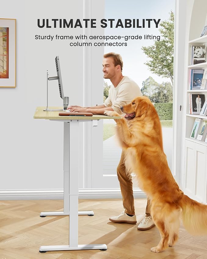 ErGear Height Adjustable Electric Standing Desk, 63 x 28 Inches Sit Stand up Desk, Large Memory Computer Home Office Desk with Two-Piece Desktop (Natural)
