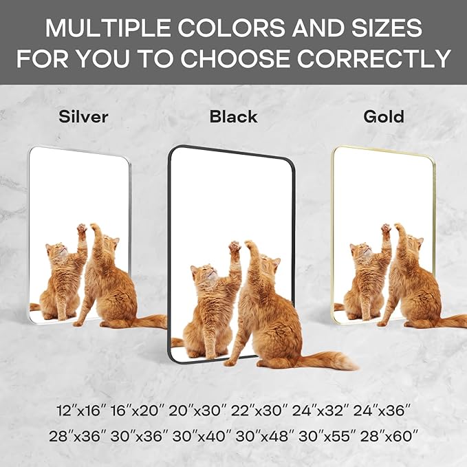 Black Framed Bathroom Mirror for Wall, Matte Black Rounded Corner Rectangle Vanity Mirror, Brushed Frame, Tempered Glass, Anti-Rust, Hangs Horizontally or Vertically (24" x 32", Black)