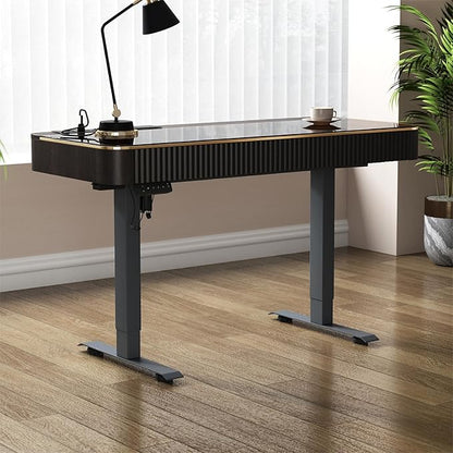 Lartis Office Desk, Electric Computer Lift Table Standing Desk with Drawer Charging USB Port, Home Office Laptop Table with Drawer