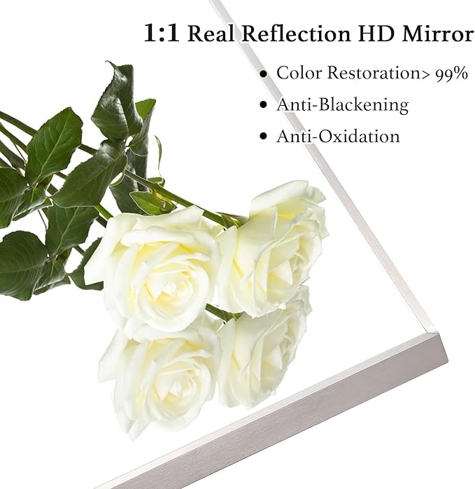 20x36 Inch Silver Bathroom Mirror - Copper-Free Mirror, Aluminum Alloy Frame Vanity Rectangle Wall Mounted Modern Mirror for Bedroom/Living Room/Porch Horizontal or Vertical