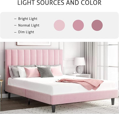 SHA CERLIN Queen Bed Frame/Velvet Upholstered Platform Bed Frame with Headboard/Strong Wood Slats Support/Mattress Foundation/No Box Spring Needed - Pink