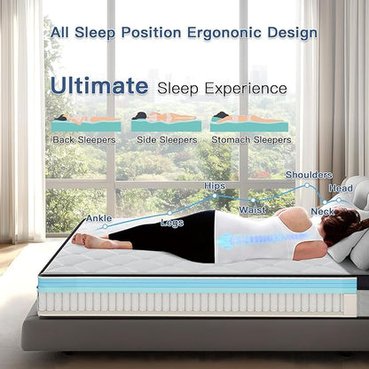 Queen Mattress, 12 Inch Queen Size Mattress in a Box, Medium Firm, Memory Foam with Individual Pocket Spring for Pressure Relief & Motion Isolation, Strong Edge Support