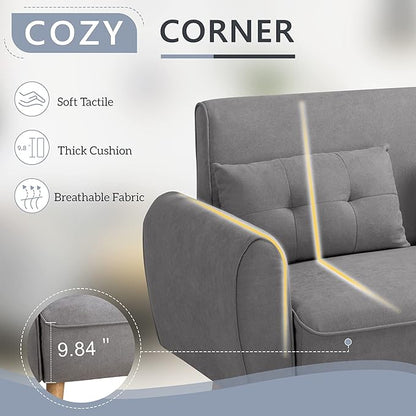 Shintenchi Small Modern Loveseat Couch Sofa, Mid Century Fabric Upholstered 2-Seat Sofa Couch Love Seats Furniture for Small Space,Living Room,Studio,Apartment with 2 Pillows,Light Grey