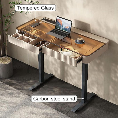 Lartis Office Desk, Electric Computer Lift Table Standing Desk with Drawer Charging USB Port, Home Office Laptop Table with Drawer