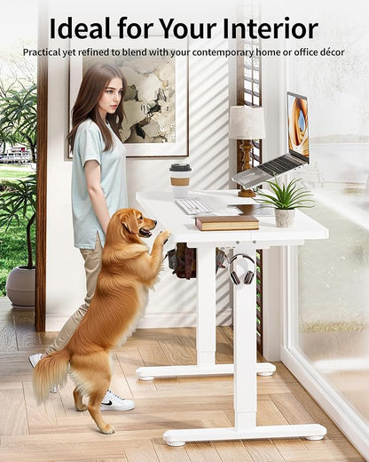 BIZUM Standing Desk Electric Adjustable Computer Desk-Stand up Desk Office Gaming Home Office Memory Desks 48x24 inches White