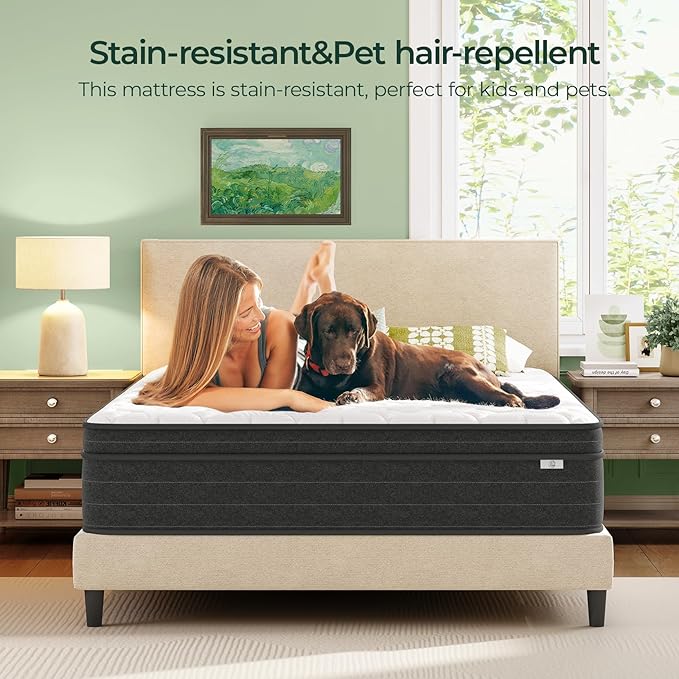 12 Inch Queen Size Mattress in a Box - Memory Foam & Pocket Spring Bed Mattress for Back Pain Relief, Cool Breathable Fiberglass-Free Cover, Medium Firm, CertiPUR-US Certified