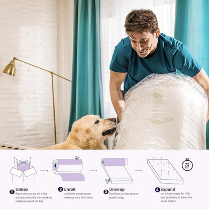 NapQueen Twin XL Size, 10 Inch Anula Green Tea Infused Memory Foam Mattress, Bed in a Box, CertiPUR-US Certified Mattress