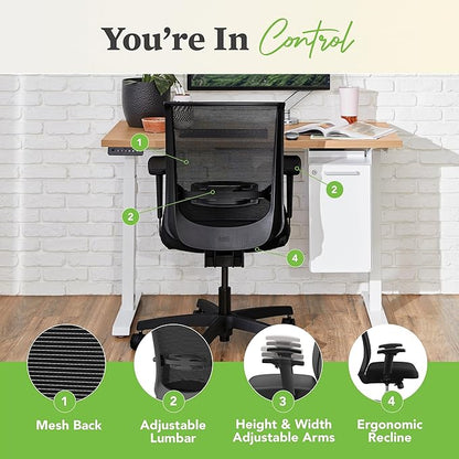 HON Convergence Ergonomic Office Chair, Breathable Back Support Mesh, Adjustable Arms, Computer Chair with Lumbar Support, Rolling Swivel Wheels, Comfortable Synchro-Tilt Recline, Fabric, Fog