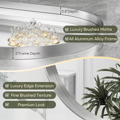 Suidia 22" x 30" Bathroom Mirror, Bathroom Vanity Mirror Metal Framed, Wall-Mounted Mirrors for Bedroom, Living Room, Entryway, Hallway, Silver, Oval Style