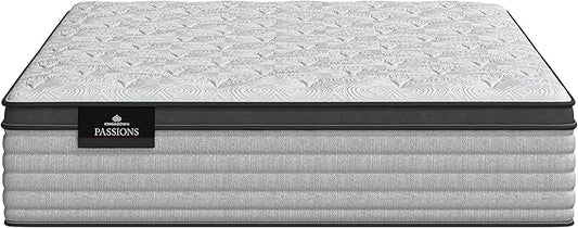 Kingsdown Passions Aspiration 14.75" Pillow Top Mattress Twin XL