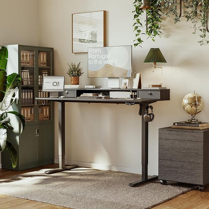 Agilestic 53x 24 Inches Height Adjustable Electric Standing Desk with 2 Drawers, Stand Up Electric Desk Adjustable Height, Sit Stand Computer Gaming Table with Splice Board, Black