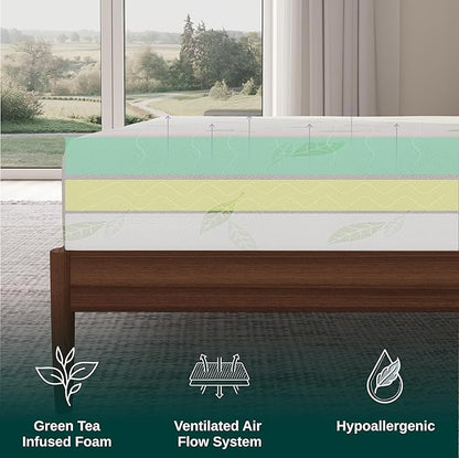 NapQueen Twin XL Size Mattress, 6 Inch Anula Green Tea Infused Memory Foam Mattress, CertiPUR-US Certified