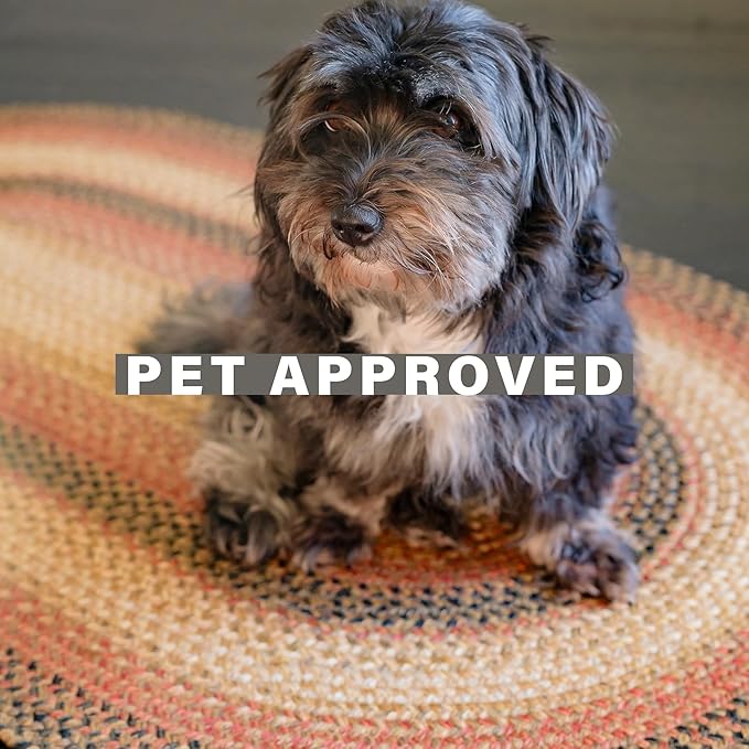 Russet Multi Color Jute Braided Oval Rug, 4x6' - Warm Country Decor, Perfect for Bedrooms, Kitchens and Large Entryways - Pet Friendly, Reversible and Easy to Clean
