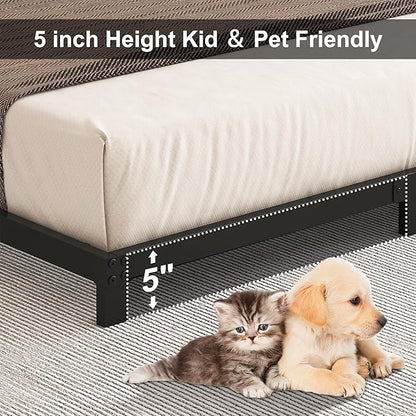 5 Inch Low Queen Bed Frame, Heavy Duty Bed Frame Queen Size Low Profile, No Box Spring Needed, Easy Assembly, Noise Free, Black
